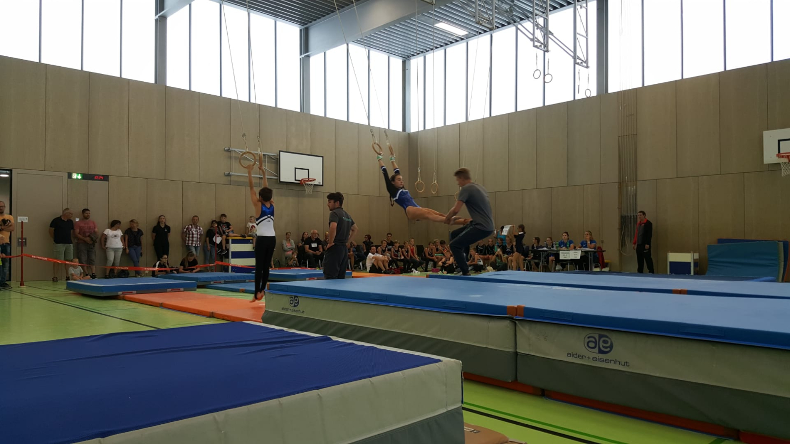 Bild (50)